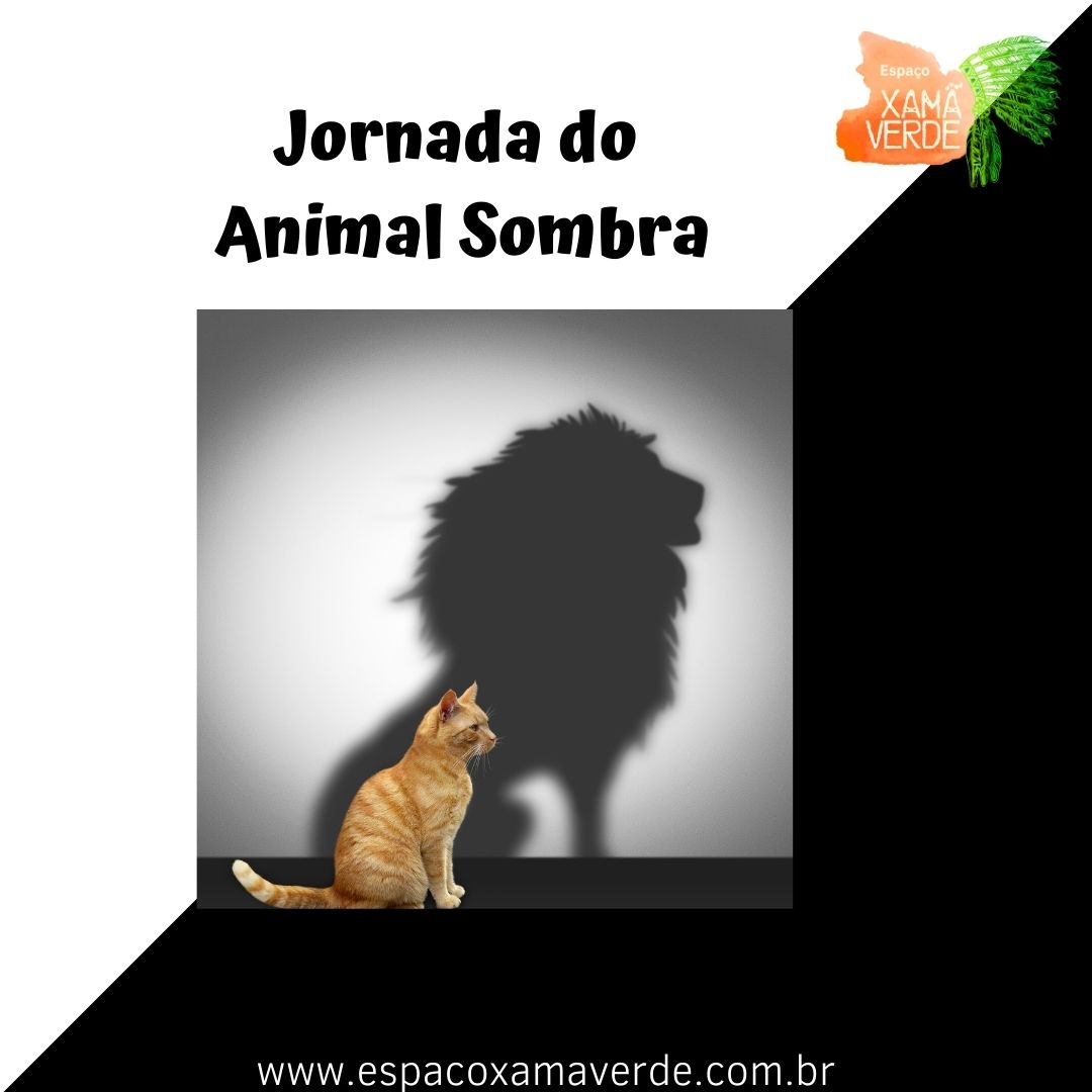 O que o seu Animal Sombra representa? Conheça essa etapa da Jornada do Animal de Poder e Animal Sombra
