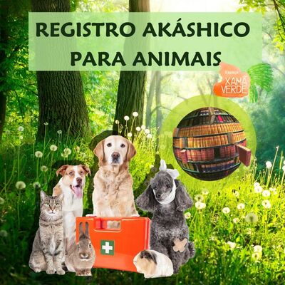 Registros Akáshicos para animais